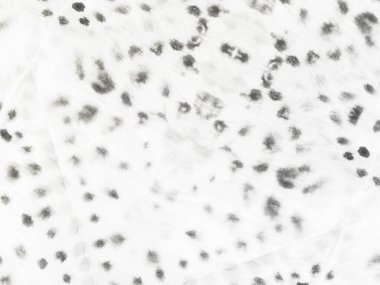 Gri çizgili buz. Beyaz Çizgi Kağıt Çizgisi. Doku Kirli. Kirli Beyaz Grunge. Gri Vintage Soyut Boya. Basit Yumuşak Moda. Doku Yazdırma Doğası. Sert Suluboya. Düz Yumuşak Döküm