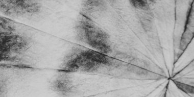 Gri Soyut Leke. Mürekkep Soyut Fırçası. Suluboya Etkisini Yıka. Renkli Yumuşak Tasarım. Gri renkli Shibori Blot. Soyut Su Dökülmesi Mürekkebi. Parlak Kova Rengi. Mürekkep Sıçratma Deseni