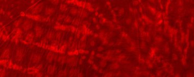 Red Dark Tie Dye Grunge. Red Hell Brushed Design. Fabric Contemporary Sunlight. Red Bloodstain Illustration Colour Explosion Design. Hot Gradient Slash. Plain Aggressive Element. Dirty Gradient Mark.