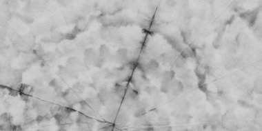 Gri Soyut Leke. Gri renkli Shibori Blob. Mürekkep Soyut Fırçası. Soyut Su Şekli Sanatı. Renkli El düzeni. Suluboya Etkisini Yıka. Sıvı Kova Akıcı Doku. Mürekkep Sıçratma Deseni