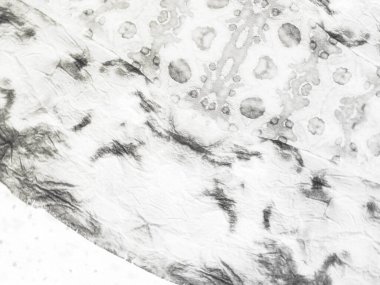 Gri Çizgili Boya. Beyaz Çizgi Çizgisi Çizgisi. Soyut Parlak Kağıt. Beyaz Vintage Doku Yazdırma. Soyut Yazdırma Sancağı. Kağıt Eski Doku. Kirli Beyaz Sancak. Kabataslak Çizim Arkaplanı. Basit Boyalı Arkaplan