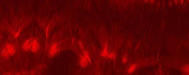 Red Dark Tie Dye Design. Red Hand Minimal Design. Pop Gradient Print. Colour Explosion Banner. Trendy Traditional Greeting. Plain Aggressive Artwork. Dirty Criminal Glow. Red Transparent Illustration