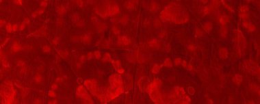 Red Dark Tie Dye Grunge. Red Hell Allover Marker. Tiedye Wallpaper Banner. Blood Gradient Silk. Pop Abstract Decor. Red Bloodstain Illustration Empty Spiritual Concept. Mystic Watercolour Violence.