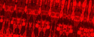 Red Dark Tie Dye Grunge. Red Hand Tie Dye Poster. Plane Flourish Glow. Floral Water Color Sunlight. Red Bloodstain Illustration Pop Abstract Slash. Colour Wallpaper Banner. Plain Watercolor Artwork.