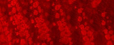 Red Dark Tie Dye Grunge. Red Warm Brushed Motion. Plain Spiritual Spatter. Red Transparent Illustration Art Gradient Stain. Tiedye Wallpaper Design. Trendy Contemporary Backdrop. Blood Criminal Silk.