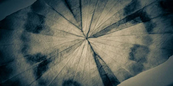 가벼운 페인트 세피아 다크옴브레 드로우 서피스 Old Surface 질서있는 파스텔 — 스톡 사진