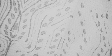 Gri Soyut İşaret. Renkli Yumuşak Doğa. Mürekkep Gradyan Pastel Splat. Renkli Pamuk Renkli Koku. Suluboya Etkisini Yıka. Soyut Mürekkep Lekesi. Gri Renkli Akrilik Drip. Mürekkep Sıçratma Dokusunu Yıka