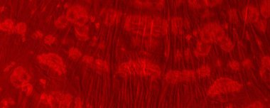 Red Dark Tie Dye Design. Red Hand Minimal Layout. Ink Gradient Shine. Empty Aggressive Spatter. Solid Flourish Silk. Red Bloodstain Illustration Creepy Water Color Splatter. Tiedye Wallpaper Grunge.