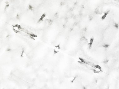 Beyaz çizgili buz. Gri Yaşlı Dirty Draw. Soyut Parlak Kirli. Düz Yumuşak Moda. Kağıt beyaz tuval. Gri Vintage Soyut Leke. Doku Hafif Doğa. Sert Suluboya. Basit Serin Serinletici