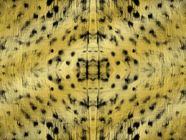Segno Astratto Senza Cuciture Tiedye Art Material Pattern Cheetah Art — Foto Stock