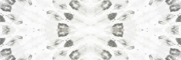 白自然を背景に 旧水彩画 グレー グランジ ダート 煙氷の背景 フロストラフアートスタイル ブリーチブラーインクモチーフ 氷の粒度効果 ブラックタイダイス — ストック写真