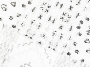 Beyaz çizgili buz. Gri Yaşlı Dirty Draw. Basit Kirli Tuvaller. Soyut Yazdırma Tablosu. Beyaz Vintage Doku Fırçası. Düz Yumuşak Yüzey. Doku Beyaz Çizgili. Kabataslak Çizim Arkaplanı. Kağıt Serin Arkaplan