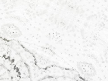 White Plain Art. Gri Çizgi Basit Çizgi. Kağıt eski moda. Doku Yazdırma Doğası. Soyut Beyaz Pastel. Beyaz Vintage Soyut Boya. Kirli Fırça Tuvali. Sert Suluboya. Çizgili Eski Arkaplan