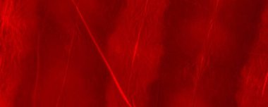 Red Neon Tie Dye Design. Red Boho Chinese Murder. Red Transparent Illustration Empty Spiritual Artwork. Fiery Criminal Dirt. Colour Explosion Banner. Pop Gradient Light. Bright Water Color Splatter.