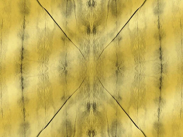 Kusursuz Soyut Altın Koyu Mürekkep Sıçrama Dokusu Eski Monochrome Shibori — Stok fotoğraf