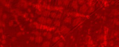 Red Dark Tie Dye Grunge. Red Dyed Dynamic Design. Empty Spiritual Concept. Colour Wallpaper Design. Rustic Traditional Sunlight. Plane Abstract Dirt. Art Abstract Decor. Red Transparent Illustration