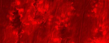 Red Neon Tie Dye Design. Red Boho Vibrant Poster. Mystic Contemporary Sunlight. Colour Halloween Grunge. Plain Criminal Mark. Plain Watercolor Pattern. Art Gradient Motif. Red Transparent Illustration
