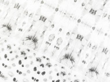 White Plain Buzu. Gri Yaşlı Dirty Draw. Beyaz Vintage Soyut Işık. Basit Beyaz Sancak. Doku Hafif Çizimi. Doku Fırçası Tanesi. Çizgili çizgi yüzeyi. Kabataslak Çizim Arkaplanı. Kağıt Eski Arkaplan