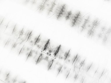 Gri Düz Boya. Beyaz Yumuşak Çizgili Çizgi. Soyut Parlak Çizgili. Soyut Işık Kışı. Kağıt Çizgisi dokusu. Basit Beyaz Grunge. Beyaz Vintage Doku Lekesi. Sert Suluboya. Kirli Satır Arkaplanı