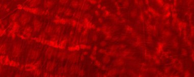 Red Neon Tie Dye Banner. Red Warm Chinese Design. Colour Wallpaper Grunge. Red Bloodstain Illustration Art Gradient Ombre. Plain Decorative Artwork. Fiery Flourish Dirt. Ornate Watercolour Backdrop.