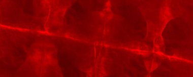 Red Dark Tie Dye Grunge. Red Hell Chinese Marker. Trendy Traditional Splatter. Art Gradient Ombre. Empty Aggressive Element. Red Background Illustration Plain Flourish Mark. Colour Halloween Banner.