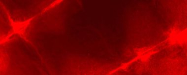 Red Neon Tie Dye Grunge. Red Neon Brushed Terror. Tiedye Contemporary Splatter. Ink Abstract Paint. Empty Watercolor Fashion. Tiedye Explosion Banner. Power Criminal Silk. Red Transparent Illustration