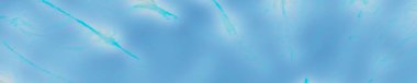 Mavi Deniz Boyası. Mavi Nehir Arkaplanı. Mavi Deniz dokusu. Deniz boyası. Denizci Gökyüzü. Teal Aqua. Gökyüzü Yıkama Arkaplanı. Buz Okyanusu deseni. Soyut Okyanus Fırçası. Su Pankartı. Pırıltılı Yüzey.