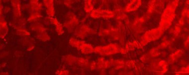 Red Neon Tie Dye Design. Red Hell Organic Grunge. Ink Gradient Paint. Fiery Criminal Fire. Colour Explosion Banner. Red Transparent Illustration Colour Psychedelic Greeting. Plain Aggressive Artwork.