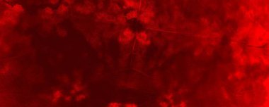 Red Neon Tie Dye Grunge. Red Dark Brushed Layout. Tiedye Contemporary Violence. Hot Abstract Splat. Colour Explosion Banner. Dirty Abstract Silk. Red Background Illustration Plain Decorative Textile.