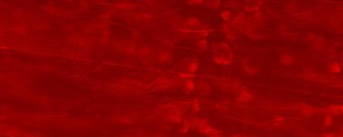 Red Dark Tie Dye Banner. Red Hell Minimal Terror. Empty Aggressive Concept. Tiedye Wallpaper Grunge. Red Transparent Illustration Plane Abstract Mark. Ink Abstract Shine. Groovy Contemporary Greeting.