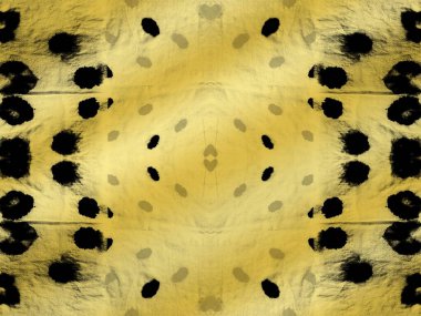 Kusursuz Soyut İşaret. Mürekkep Kara Kaplan Sanatı. Kırsal Bohem kravat boyası lekesi. Etnik Sanat Arkaplan Şablonu. Boho Soyut Tablo. Mürekkep Çita Şekli. Islak Çalı. Bohem Moody 'i Yıka Tekrar Et.