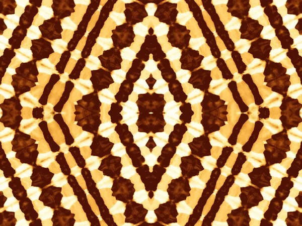 Ochre Ethnic Motif Tinte Corbata Lavado Pincel Abstracto Marrón Cofee — Foto de Stock