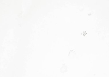 Gri Basit Boya. Doku Hafif Grunge. Beyaz Kağıt Çizim. Düz beyaz tuval. Kirli eski moda. Kirli Serin Sıçrayan Parlak Pastel. Kabataslak Çizim Arkaplanı. Beyaz Vintage Soyut Leke.