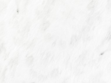 White Plain Round. Gri Eski Kağıt Çizimi. Doku Hafif Doğa. Doku Parlak Kağıt. Gri Vintage Soyut Leke. Basit Yumuşak Doku. Çizgili Beyaz Grunge. Kabataslak Çizim Arkaplanı. Kirli Satır Arkaplanı