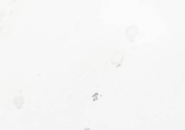 Gri Düz Bg. Doku Hafif Kış. Basit Soluk Yüzey. Kağıt Eski Sıçrama Kağıt Beyaz Kuku. Beyaz Vintage Soyut Leke. Doku Fırçası Basit. Kabataslak Çizim Arkaplanı. Beyaz Yumuşak Kirli Çizim.