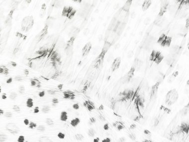 Gri Düz Sanat. Beyaz Solgun Kirli Çizim. Soyut Parlak Düzlük. Beyaz Vintage Soyut Leke. Basit Fırça Sancağı. Kağıt Eski Yüzey. Doku Hafif Grunge. Kabataslak Çizim Arkaplanı. Çizgili Çizgi Dökümcüsü