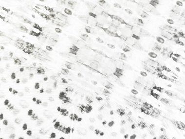 White Simple Bg 'de. Gri Yumuşak Çizgili Çizgi. Düz Hat Yüzeyi. Gri Vintage Soyut Yazıcı. Doku Hafif Çizimi. Kağıt Fırçası Pankartı. Soyut Kirli Pastel. Kabataslak Çizim Arkaplanı. Kirli Hat Dökümcüsü