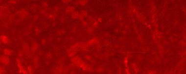 Red Dark Tie Dye Design. Red Hell Tye Die Modern. Tiedye Wallpaper Banner. Trendy Watercolour Backdrop. Empty Psyhedelic Pattern. Red Background Illustration Hot Abstract Slash. Color Artistic Mark.