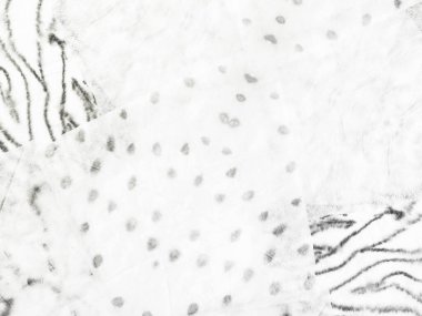 Gri Düz Boya. Beyaz Çizgi Kağıt Çizgisi. Gri Vintage Doku Fırçası. Soyut Hafif Grunge. Soyut Fırça Kirli. Basit Parlak Sancak. Çizgili Soluk Yüzey. Sert Suluboya. Kirli Eski Döküm