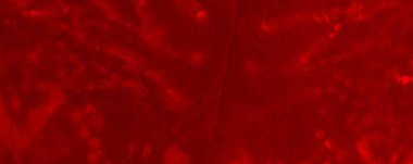 Red Dark Tie Dye Design. Red Acid Allover Poster. Red Transparent Illustration Plain Decorative Concept. Mystic Watercolour Sunlight. Tiedye Halloween Banner. Dirty Flourish Silk. Lsd Gradient Stain.