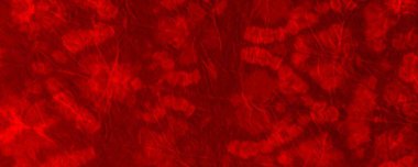 Red Dark Tie Dye Grunge. Red Hell Minimal Banner. Hot Gradient Flame. Colour Watercolour Splatter. Red Bloodstain Illustration Colour Halloween Banner. Color Abstract Dirt. Empty Watercolor Spatter.