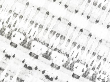 Gri Basit Boya. Beyaz Yumuşak Çizgili Çizgi. Gri Vintage Soyut Fırça. Kağıt Fırça Tuvali. Düz çizgi dokusu. Doku Hafif Sancak. Doku Parlak Çizgili. Sert Suluboya. Kirli Satır Arkaplanı