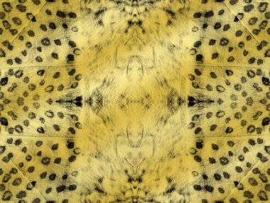 Kusursuz Soyut Folyo. Yaşlı Karanlık Çizgili Leopar. Hayvan Mürekkebi Arkaplan Deseni. Sanat Leopar Fırçası. Lüks Arkaplan Çita Blot. Boho Pürüzsüz Tablo. Duvar kağıdı metal Grunge 'u yıka. Islak Kaplan Kağıdı.