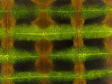 Boya neon soyut suluboya. Mavi çizgili suluboya desen. Kırmızı Çizgili İkat dokusu. Gri kravat boyası, kravat izi. Kravat Boyası Tasarımı Çok Renkli Çizgili Ombre Grunge. Shibori Dip Deseni.