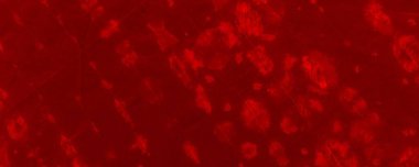 Red Dark Tie Dye Design. Red Acid Painted Modern. Empty Decorative Spatter. Tiedye Halloween Banner. Red Bloodstain Illustration Creepy Contemporary Splatter. Sunny Abstract Glow. Art Abstract Stain.