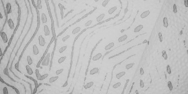 Gri Soyut İşaret. Suluboya tuval yıka. Mürekkep Soyut Fırçası. Renkli Suluboya Koku. Gri renkli kravat boyası damlası. Renkli Yumuşak Düzen. Mürekkep Soyut Pastel Fırçası. Mürekkep Sıçratma Dokusunu Yıka