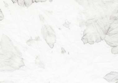 Beyaz Kağıt Boyası. Beyaz Vintage Doku Işığı. Basit Soluk Yüzey. Kirli Fırça Tuvali. Soyut Yazıcı Grunge. Kağıt Boyalı Sıçrayan Soyut Parlak Tahıl. Kabataslak Çizim Arkaplanı. Gri Yumuşak Çizim.