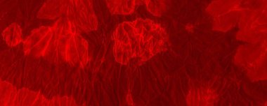 Red Neon Tie Dye Grunge. Red Acid Organic Motion. Red Background Illustration Tiedye Explosion Design. Empty Aggressive Textile. Simple Contemporary Greeting. Hot Abstract Paint. Fiery Criminal Flat.