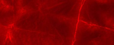 Red Dark Tie Dye Banner. Red Neon Tye Die Modern. Solid Artistic Mark. Tiedye Traditional Violence. Plain Aggressive Concept. Red Bloodstain Illustration Colour Wallpaper Design. Art Abstract Paint.