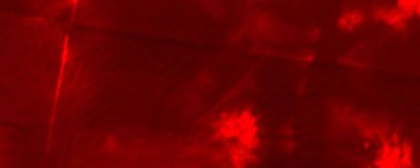 Red Dark Tie Dye Banner. Red Acid Brushed Grunge. Red Transparent Illustration Fiery Artistic Flat. Tiedye Halloween Grunge. Nature Contemporary Backdrop. Hot Gradient Brush. Empty Spiritual Artwork.